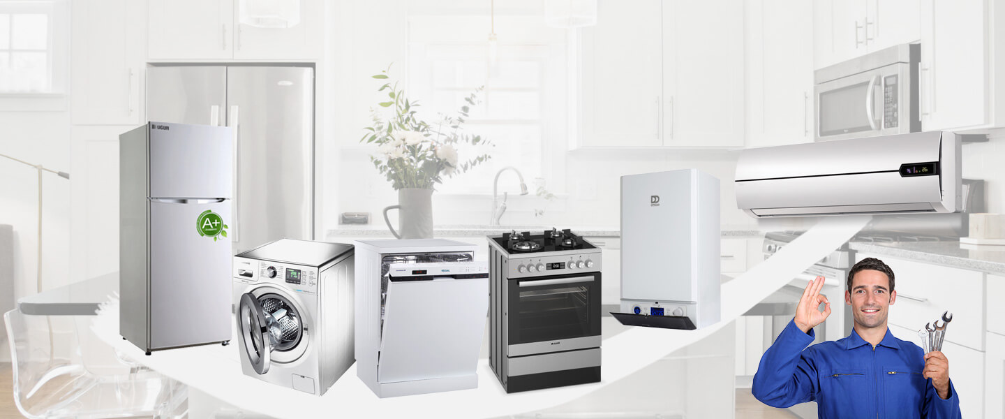 Büyükorhan Smeg Servisi